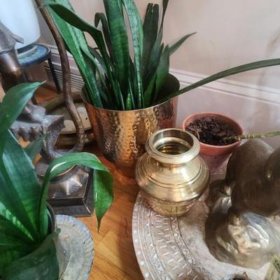 Sale Photo Thumbnail #202