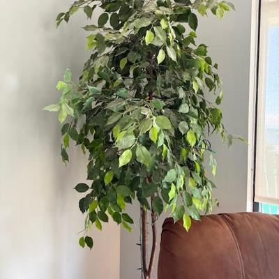 Sale Photo Thumbnail #150