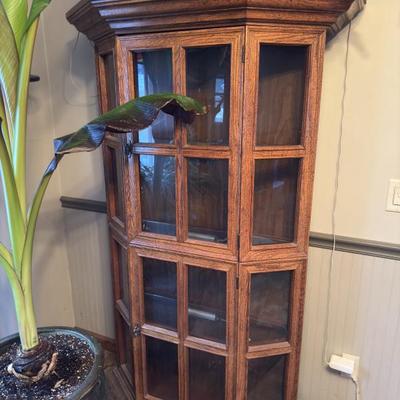 Sale Photo Thumbnail #16: Larger curio