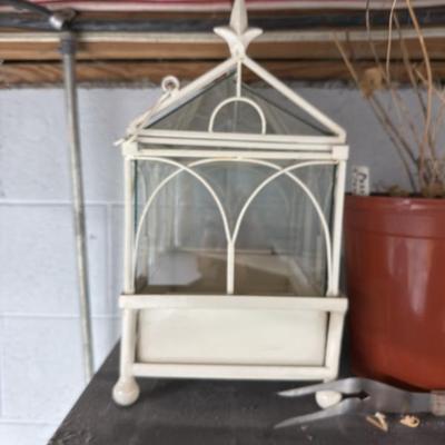 Small terrarium 