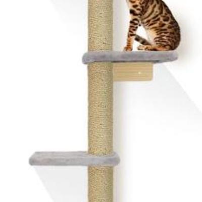 Sale Photo Thumbnail #32