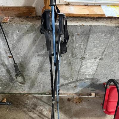 Salomon Escape Alu cross-country ski poles & Swissgear Anti-Shock Trekking Pole