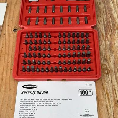 Warrior 100pc Security Bit Set 