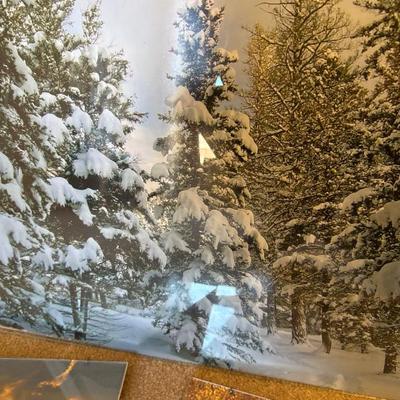 Sale Photo Thumbnail #438