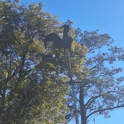 Sale Photo Thumbnail #84