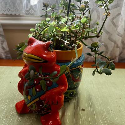 Talavera Planter And Live Plant