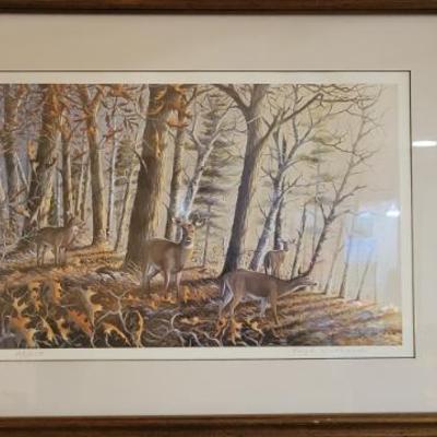 Sale Photo Thumbnail #119