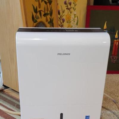 Sale Photo Thumbnail #168: Dehumidifier 