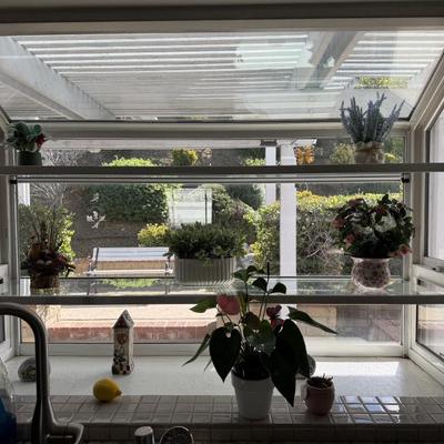 Assortment of plants artificial and real