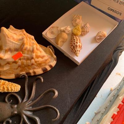 Sale Photo Thumbnail #173