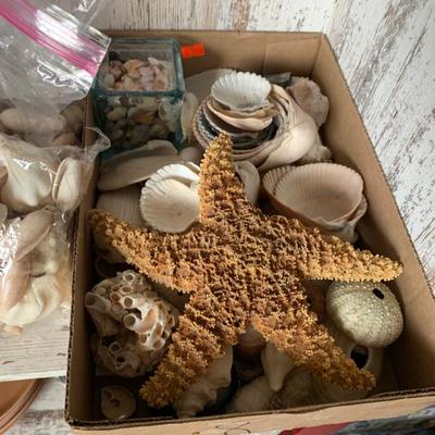 Sale Photo Thumbnail #96