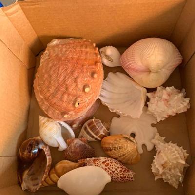 Sale Photo Thumbnail #179