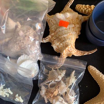 Sale Photo Thumbnail #176