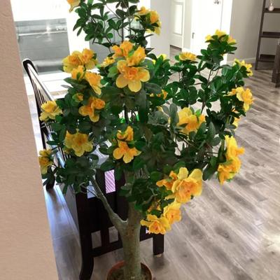 Sale Photo Thumbnail #9