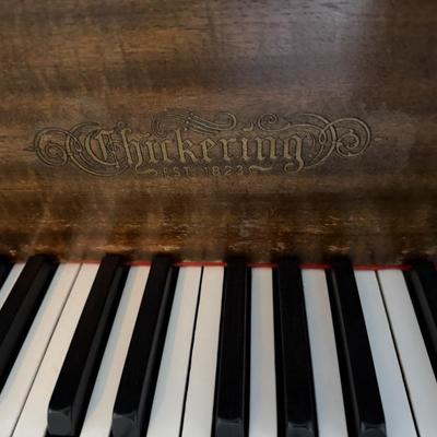 Sale Photo Thumbnail #2