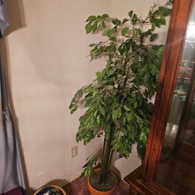 Sale Photo Thumbnail #105