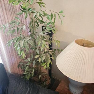 Sale Photo Thumbnail #68