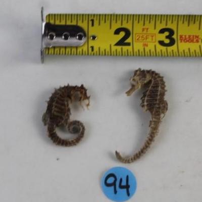 Sale Photo Thumbnail #217