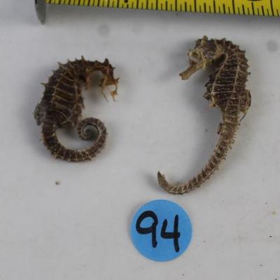 Sale Photo Thumbnail #218