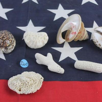 Sale Photo Thumbnail #592