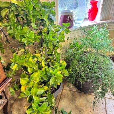 Sale Photo Thumbnail #125