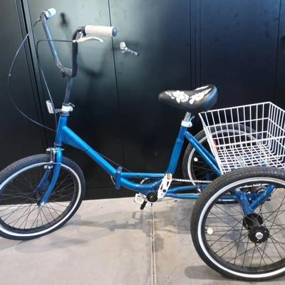 Adult Blue Trike With Basket