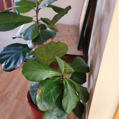 Sale Photo Thumbnail #234