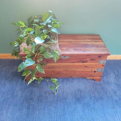 Sale Photo Thumbnail #224