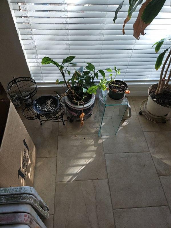 Sale Photo Thumbnail #50: Image000001 26)