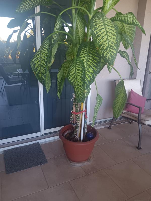 Sale Photo Thumbnail #28