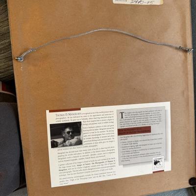 Sale Photo Thumbnail #346