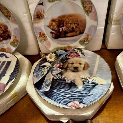 Sale Photo Thumbnail #16