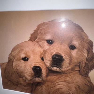 Sale Photo Thumbnail #344