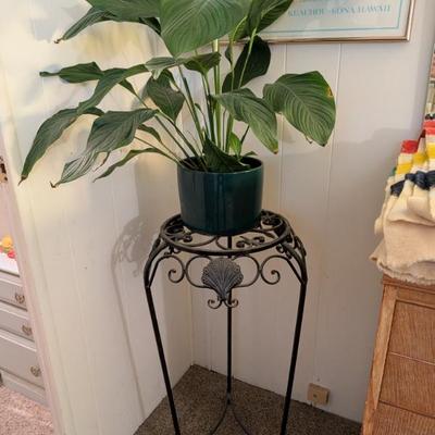 Plant stand and plant!