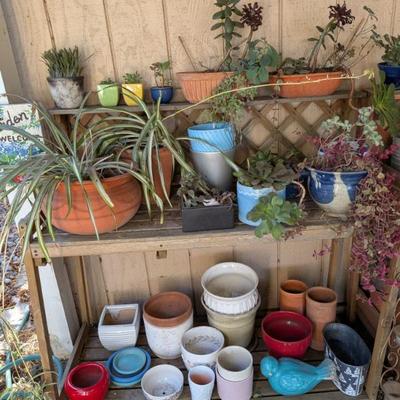 Potters benches and plants!