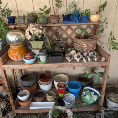 Potters benches and plants!