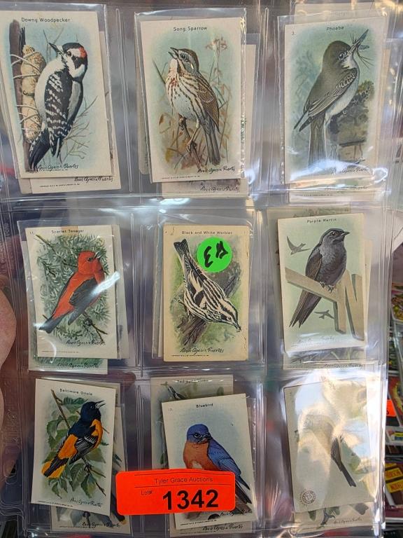 Sale Photo Thumbnail #354