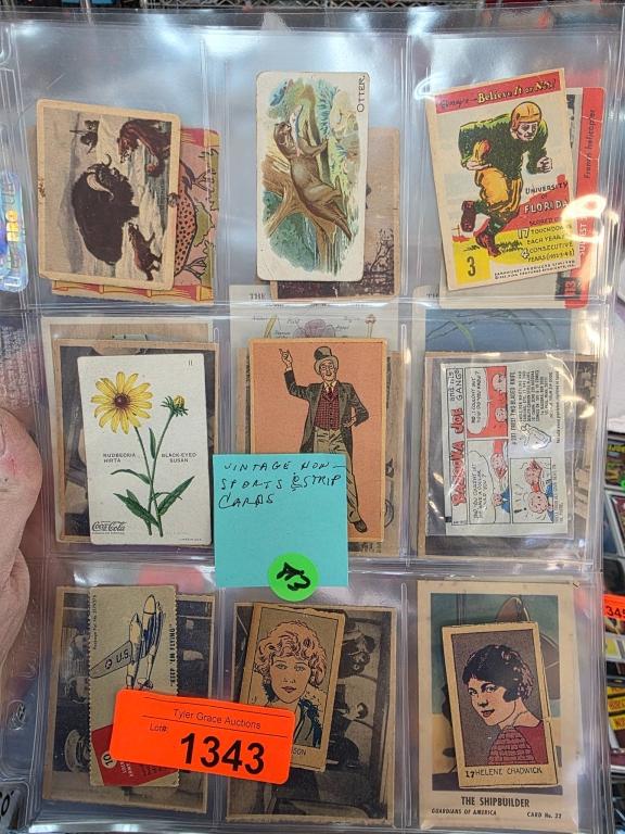 Sale Photo Thumbnail #355