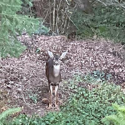 Sale Photo Thumbnail #27