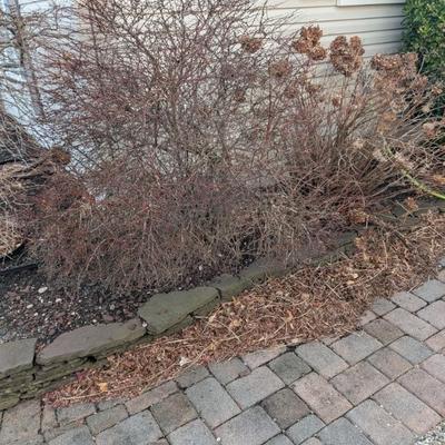 Sale Photo Thumbnail #17