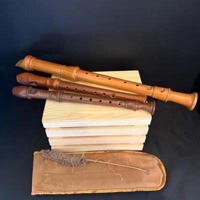 Collection Of Recorders Musical Instrument