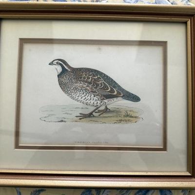 Sale Photo Thumbnail #94