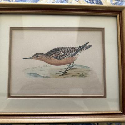 Sale Photo Thumbnail #95