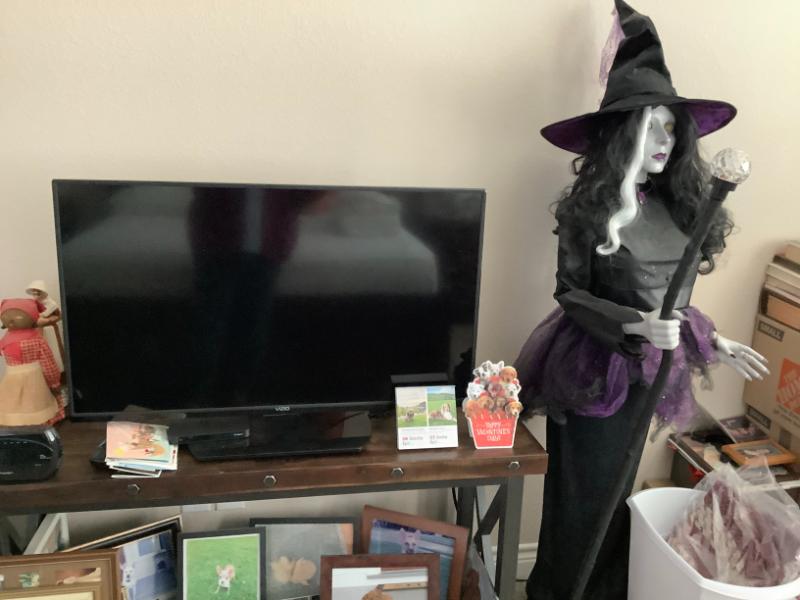 Sale Photo Thumbnail #13