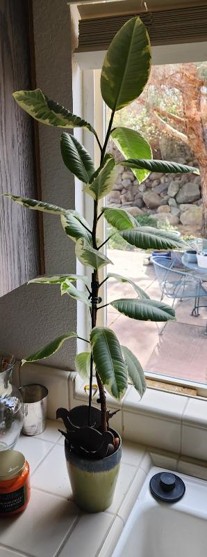 Sale Photo Thumbnail #123