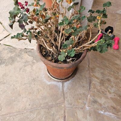 Sale Photo Thumbnail #28