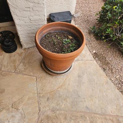 Sale Photo Thumbnail #32