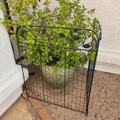 Sale Photo Thumbnail #43