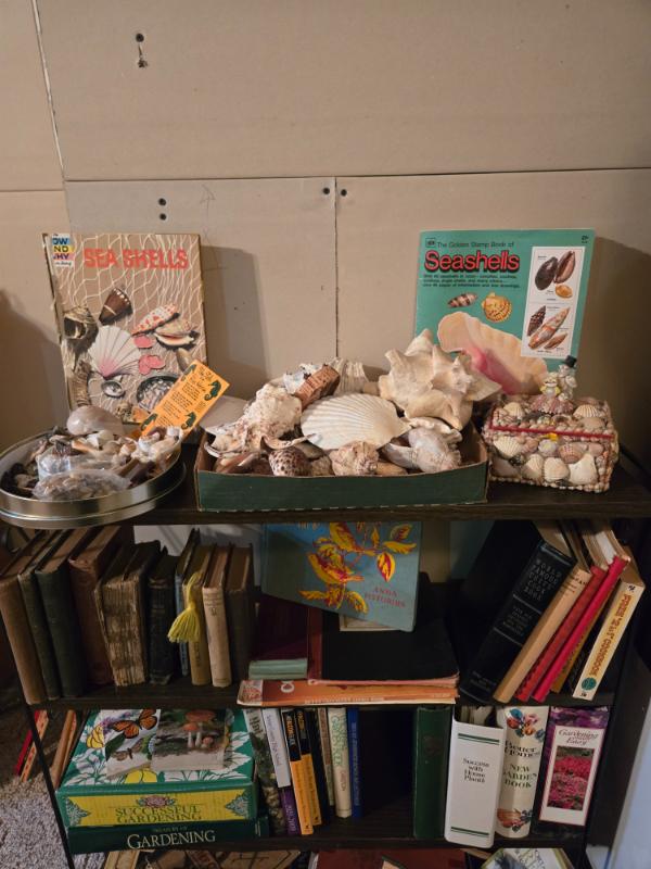 Sale Photo Thumbnail #217