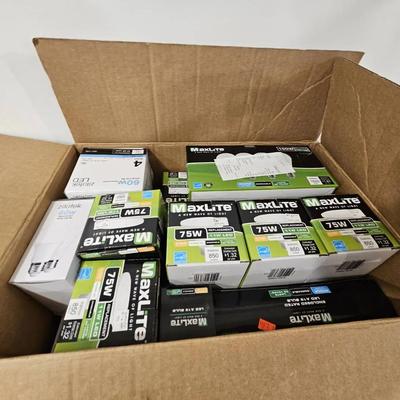 Large Assorted Light Bulb Lot